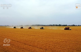 焦点访谈丨守住粮食生产的“命根子